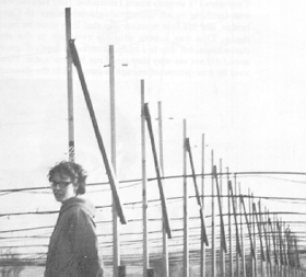 Jocelyn Bell