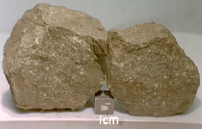 chondrite.jpg