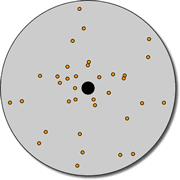 rotation_vdisp.gif