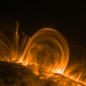 Coronal Loops
