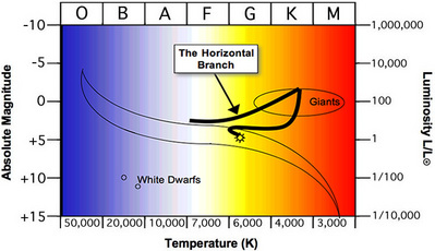 The Horizontal Branch