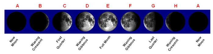 phases.jpg