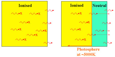 typeiilightcurves2.jpg