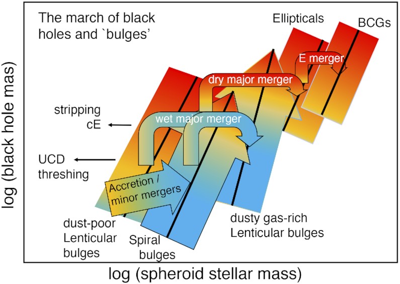 Galaxy–black hole coevolution